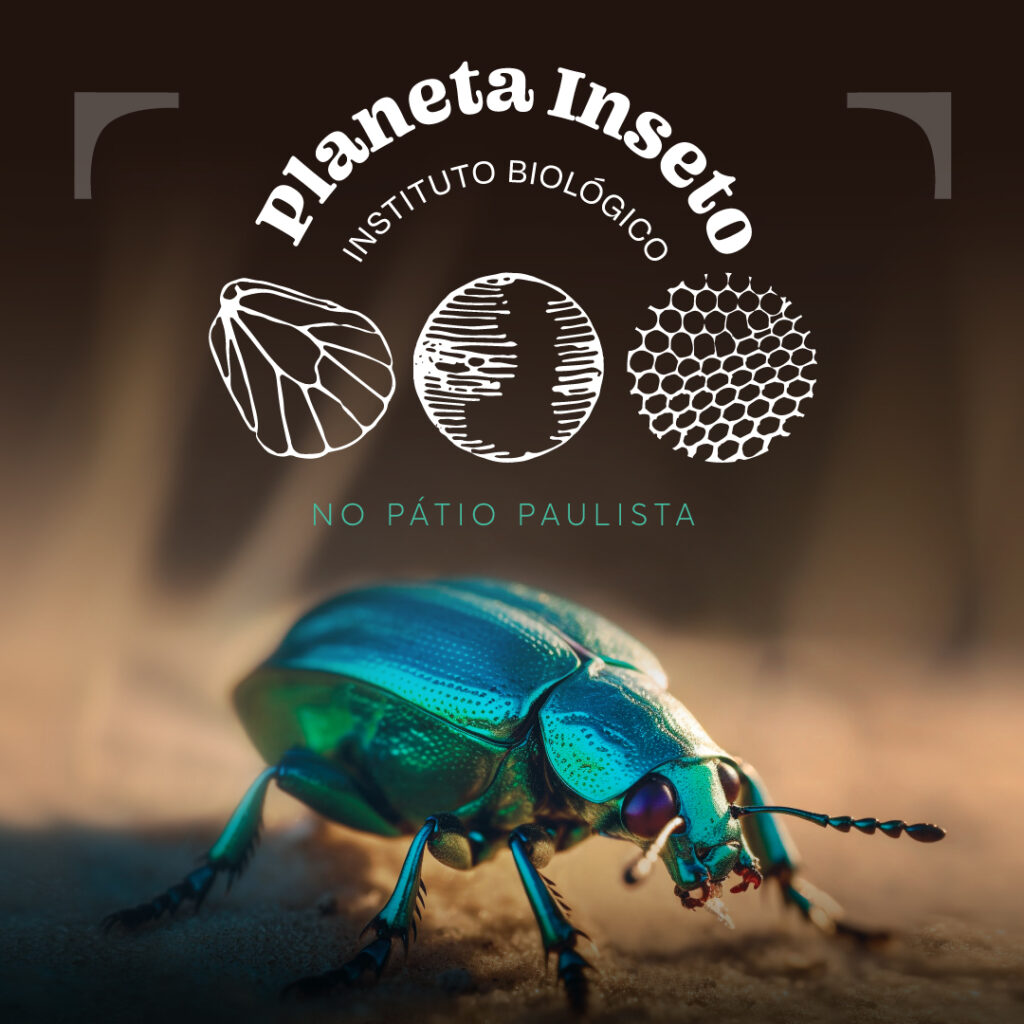 AF_Planeta_Inseto_1080x1080